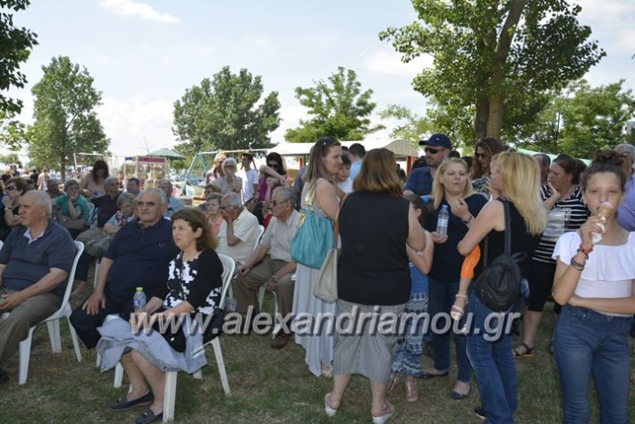 alexandriamou.gr_trikala28.5.2018072